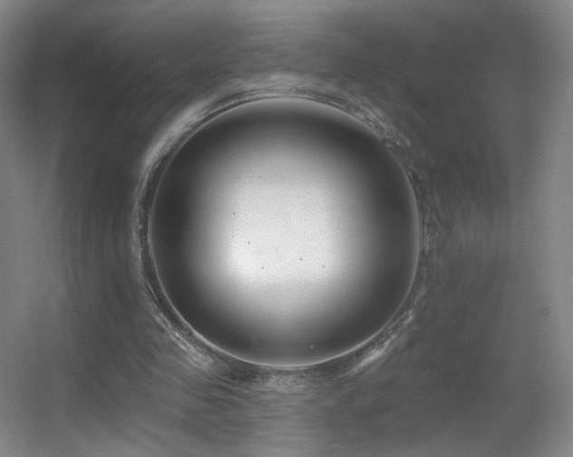 X0000055520341200508121049