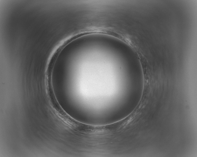 X0000055520342200508121049