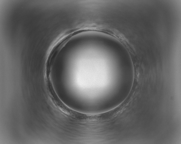 X0000055520344200508121049
