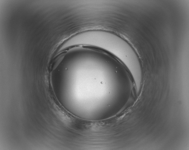 X0000055520345200508121049