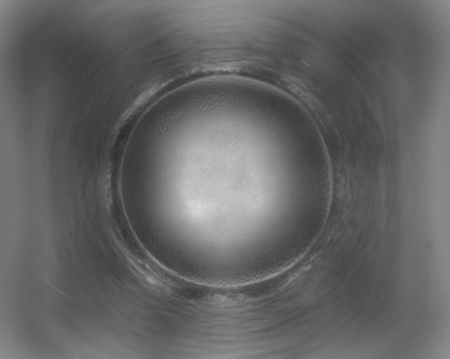 X0000055520346200508121049