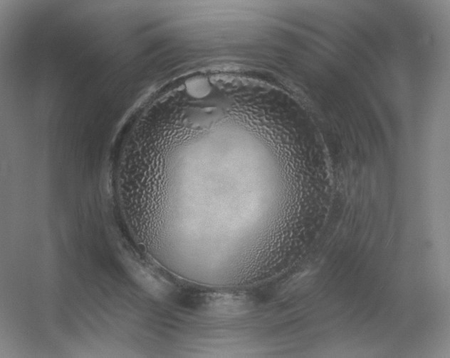 X0000055520347200508121049