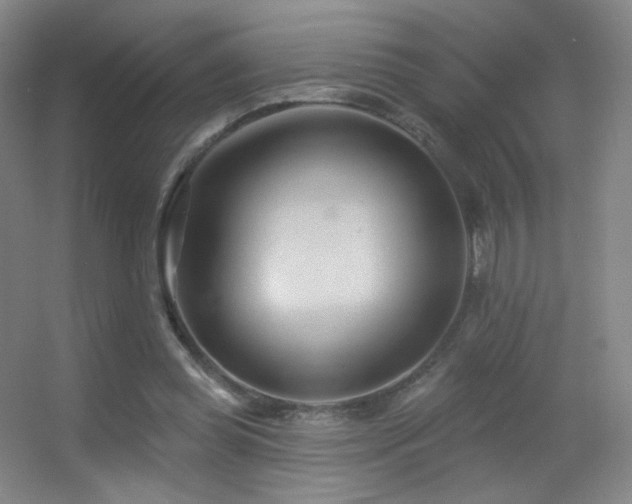 X0000055520349200508121049