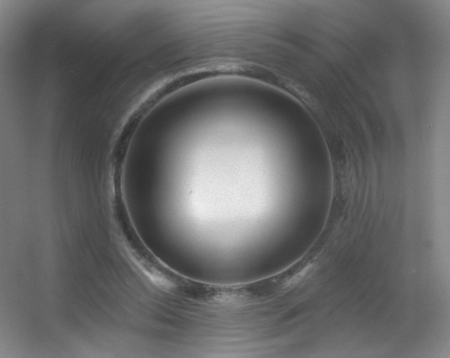 X0000055520350200508121049