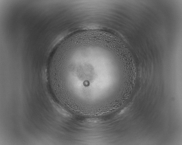 X0000055520351200508121049
