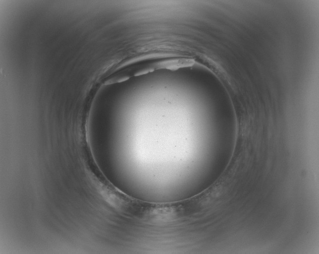 X0000055520353200508121049