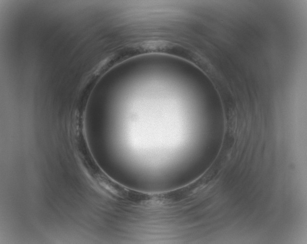 X0000055520356200508121049