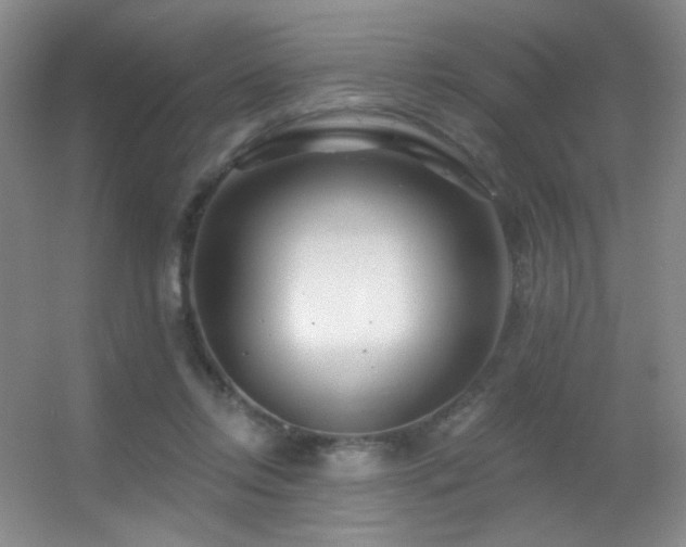X0000055520358200508121049