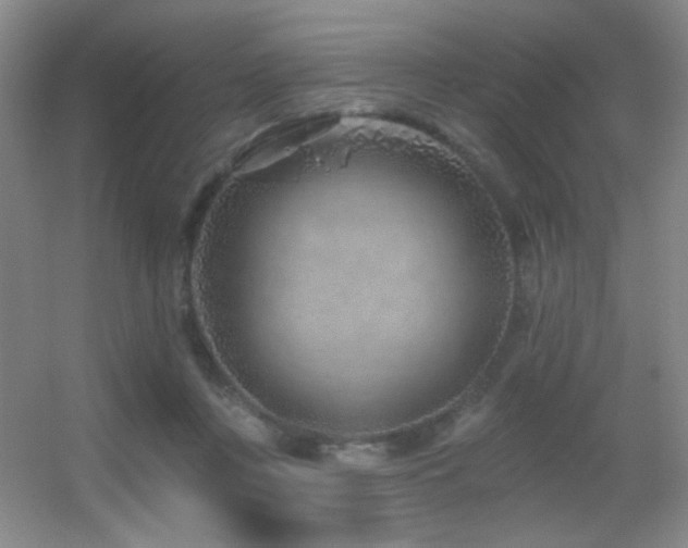 X0000055520359200508121049