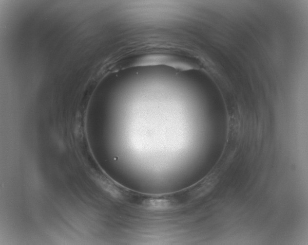 X0000055520361200508121049