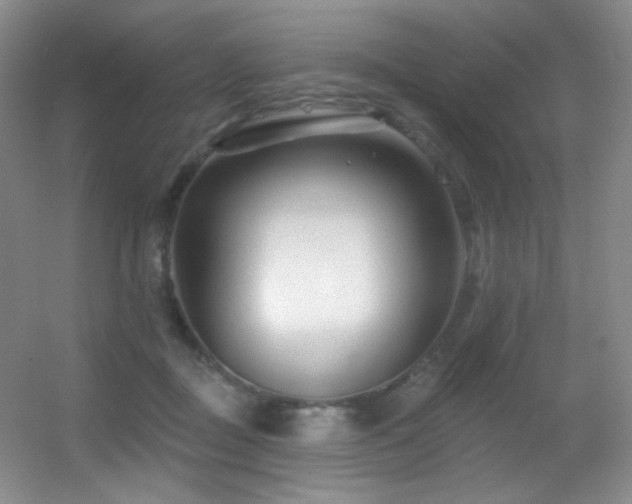 X0000055520363200508121049