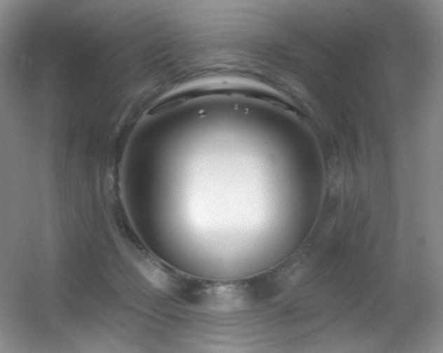 X0000055520365200508121049