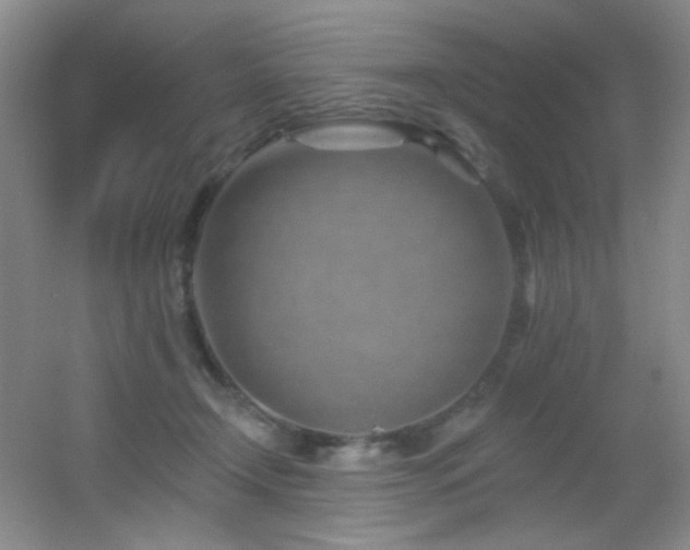 X0000055520366200508121049