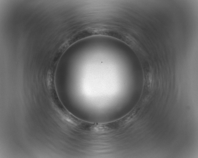 X0000055520372200508121049