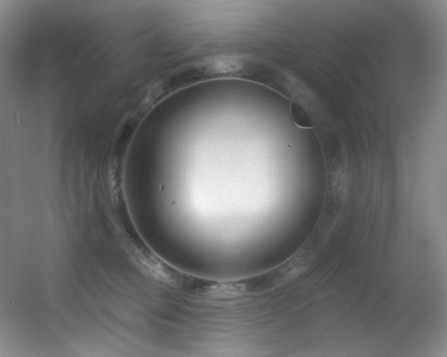 X0000055520373200508121049