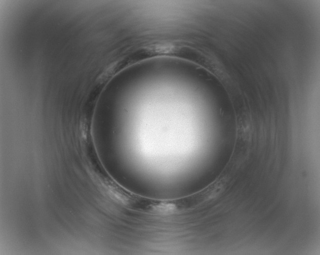 X0000055520374200508121049