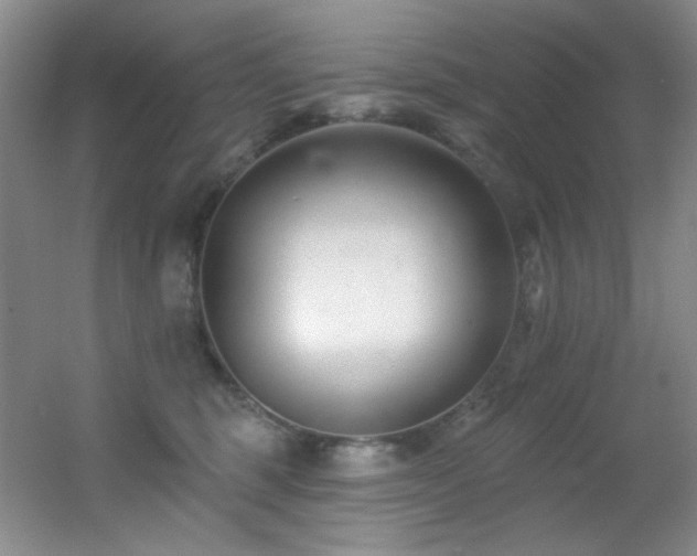 X0000055520375200508121049