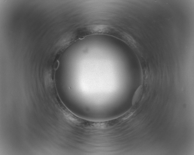 X0000055520377200508121050