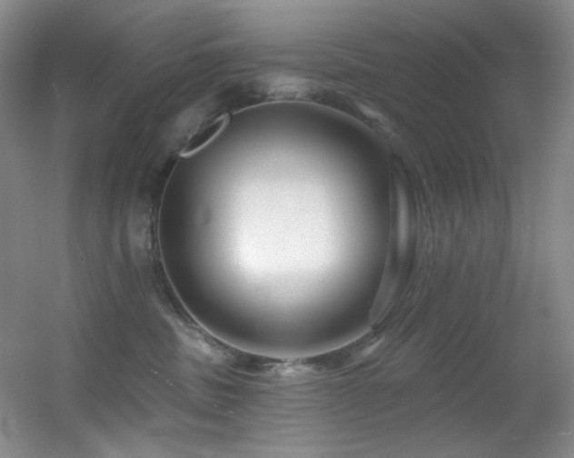 X0000055520379200508121050
