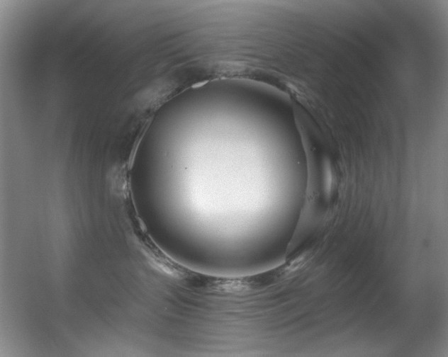 X0000055520383200508121050