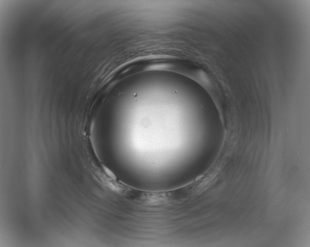 X0000055520384200508121050