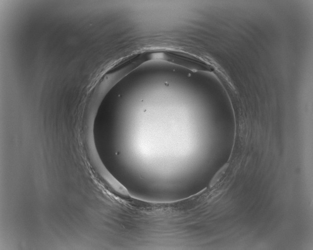 X0000055520385200508121049