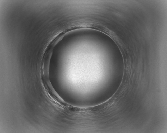 X0000055520386200508121049