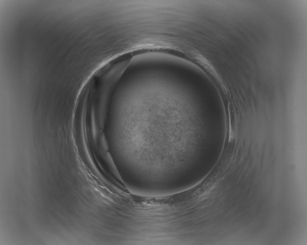 X0000055520387200508121049
