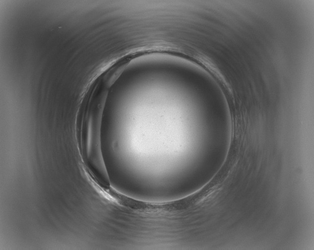 X0000055520389200508121049