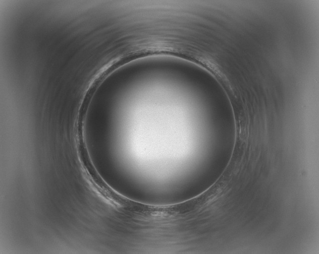 X0000055520390200508121049
