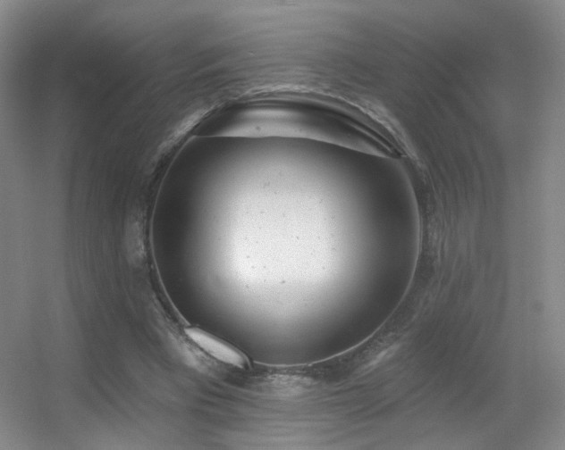 X0000055520393200508121049