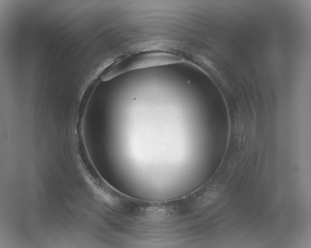 X0000055520394200508121049