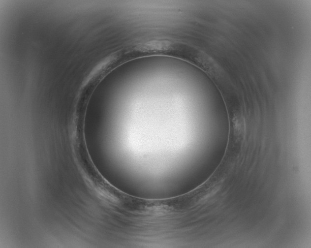 X0000055520396200508121049
