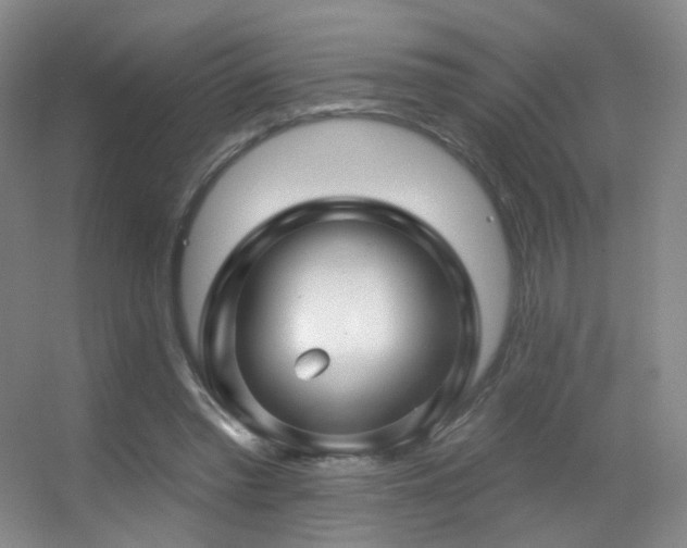 X0000055520397200508121049