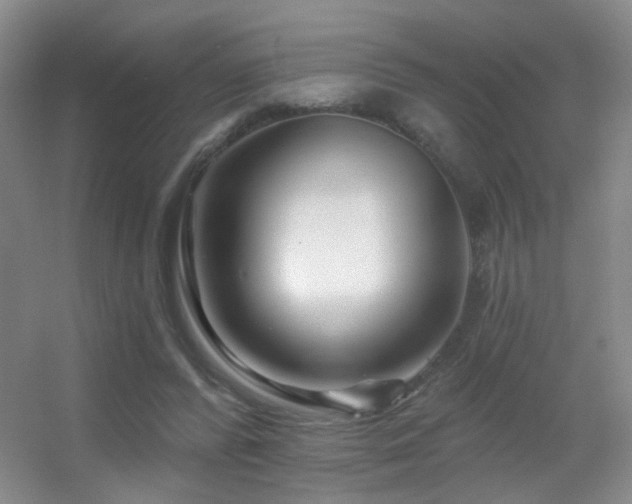 X0000055520400200508121049