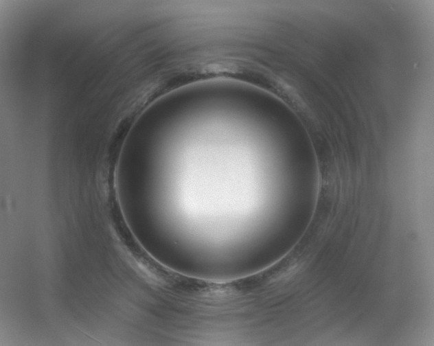 X0000055520402200508121049