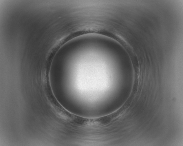 X0000055520403200508121049