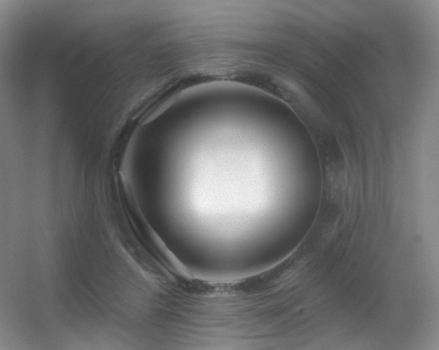X0000055520404200508121049