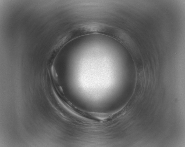 X0000055520406200508121048