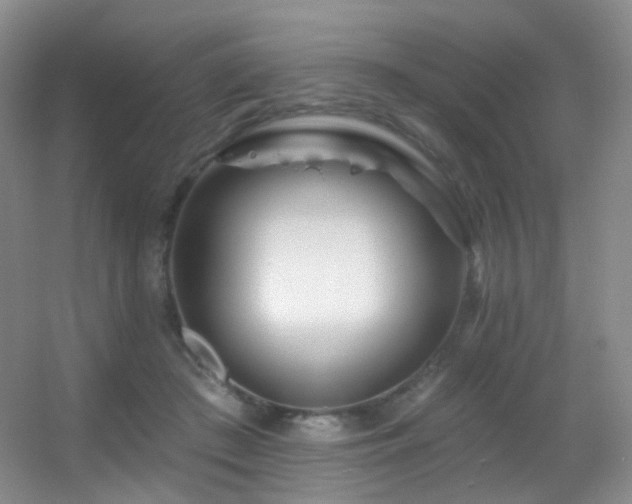 X0000055520409200508121048