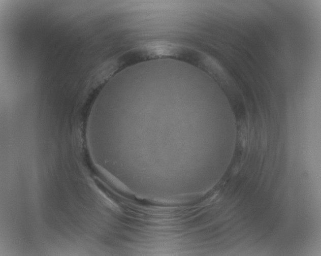 X0000055520410200508121048