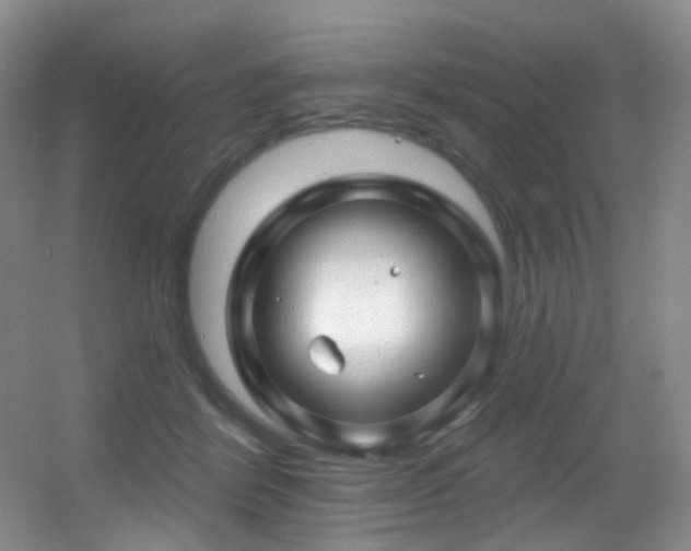 X0000055520412200508121048