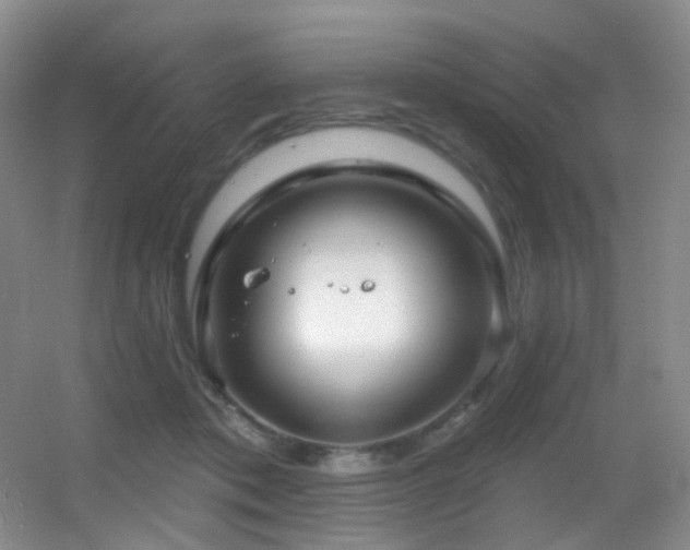 X0000055520413200508121048