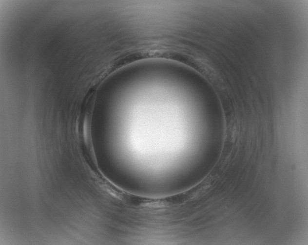 X0000055520417200508121048