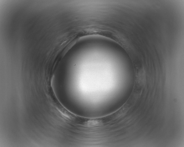 X0000055520418200508121048