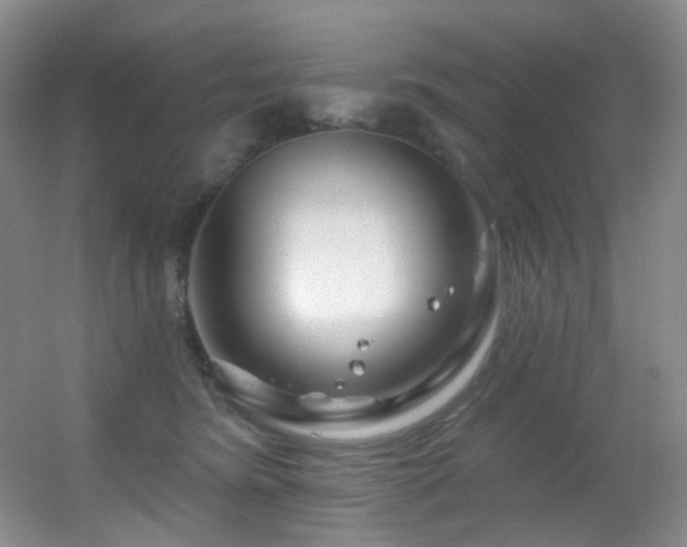 X0000055520420200508121048