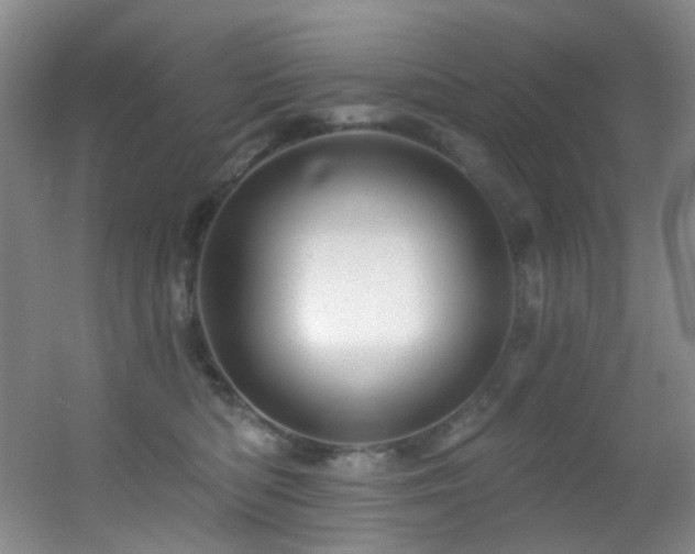 X0000055520422200508121048