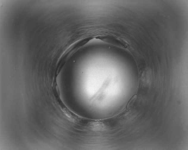 X0000055520424200508121048