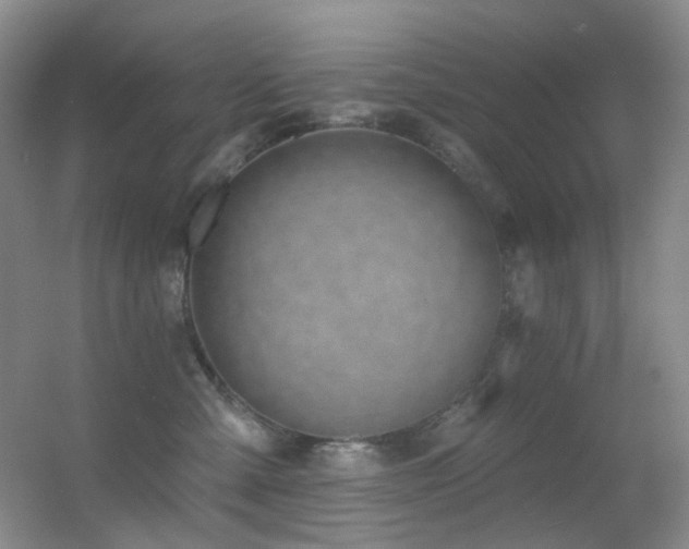 X0000055520427200508121048