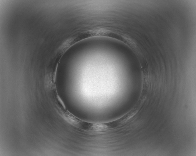 X0000055520429200508121048